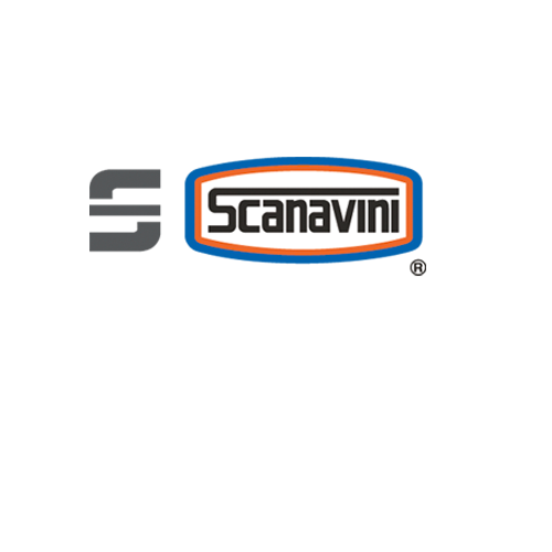 Scanavini